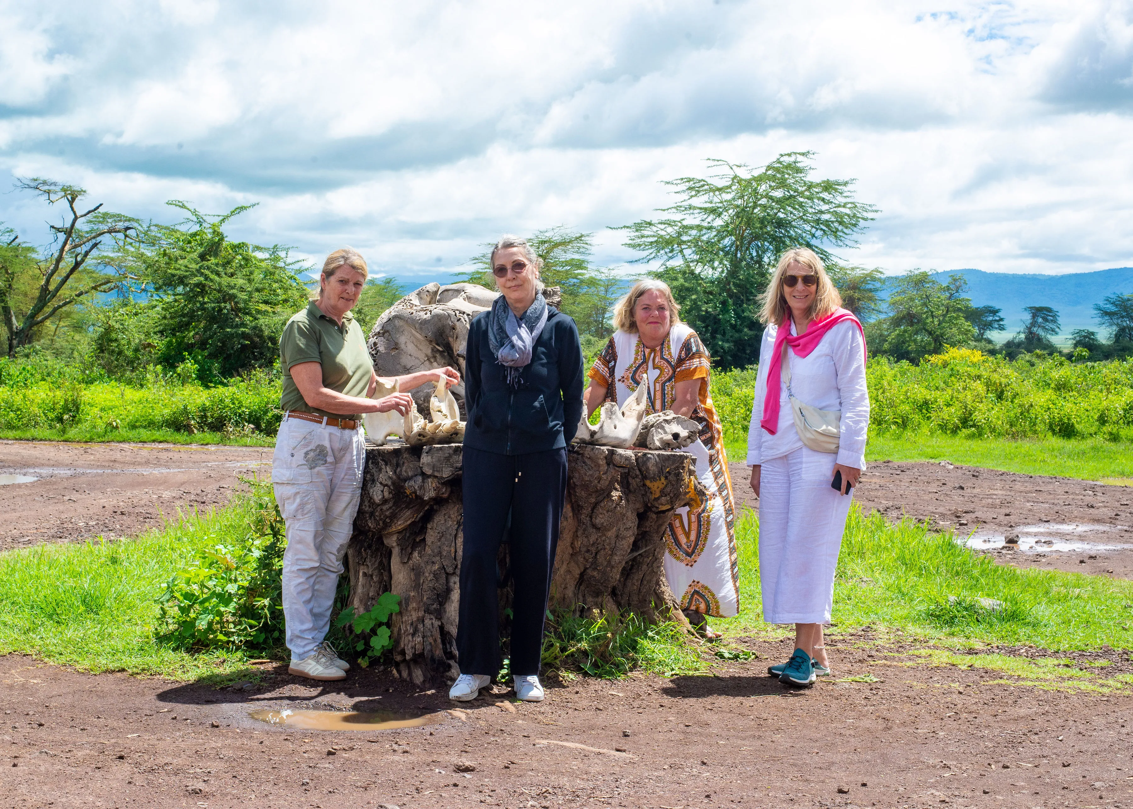 Daily Joining Safari (Tarangire or Ngorongoro)