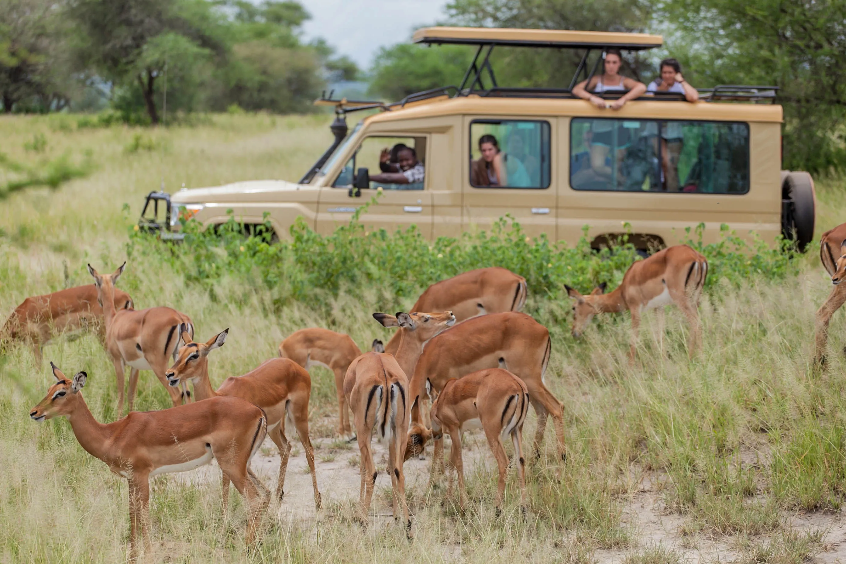 Tarangire National Park