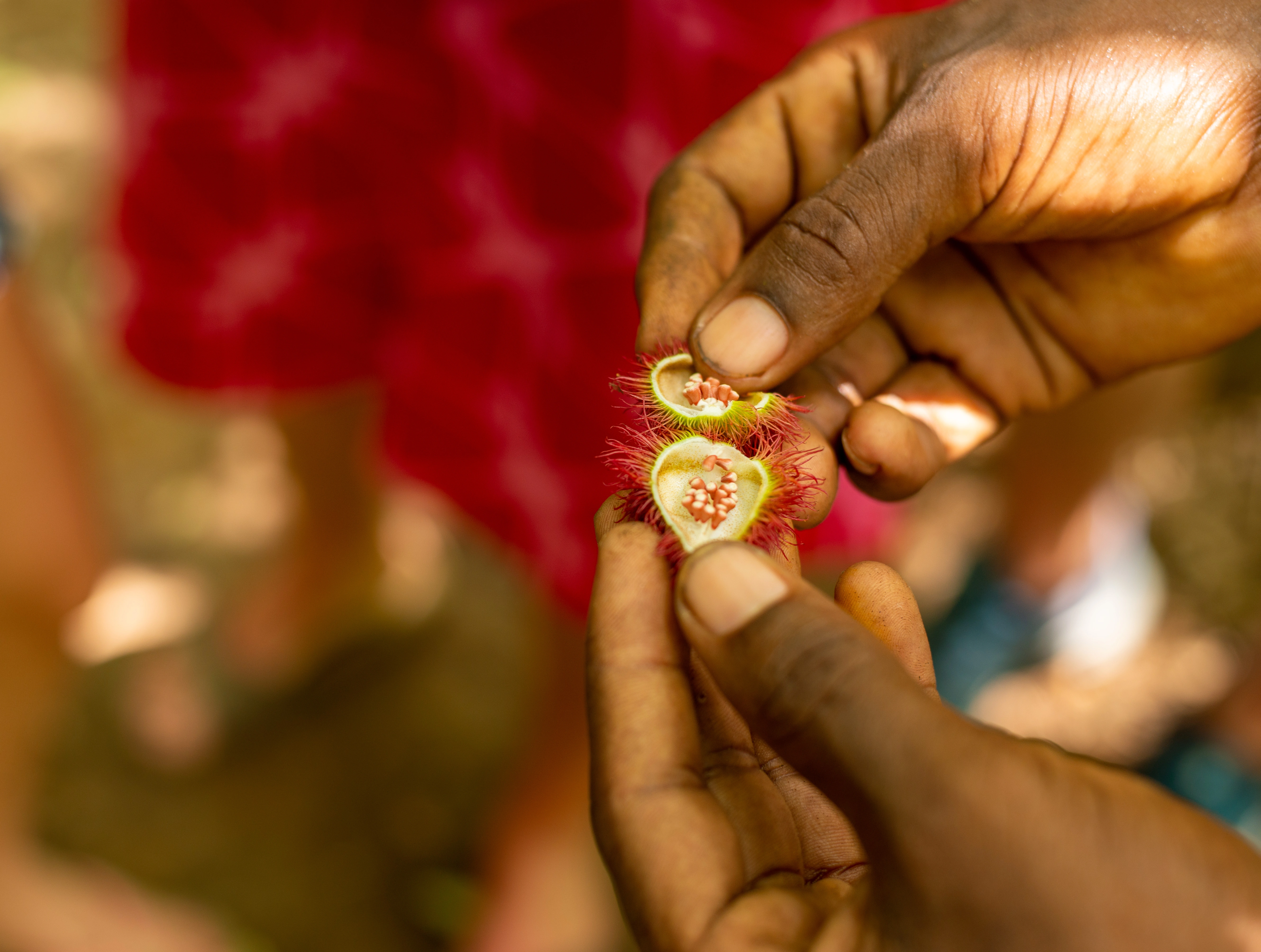 Zanzibar Spice Tour