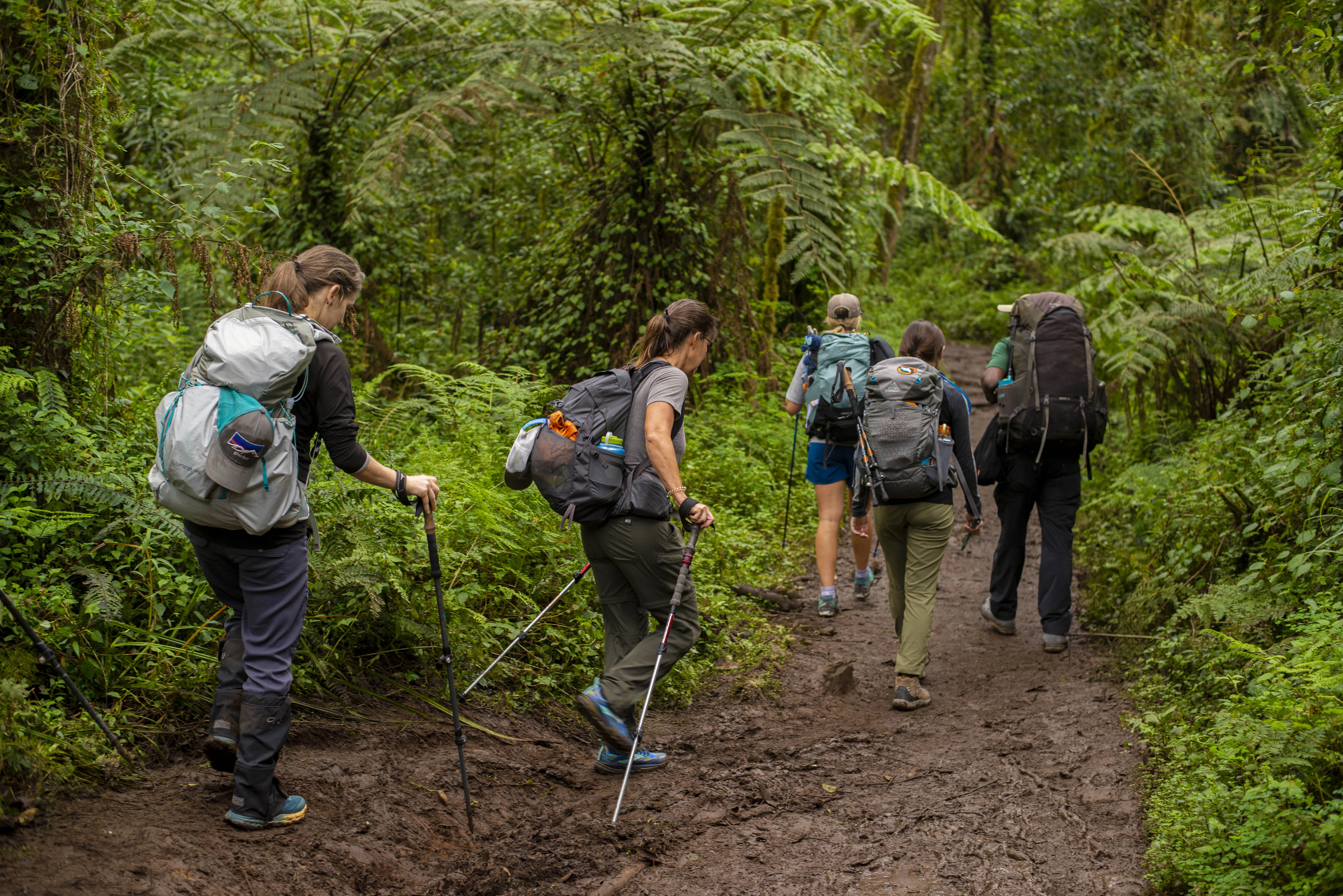 7 Days Machame Route