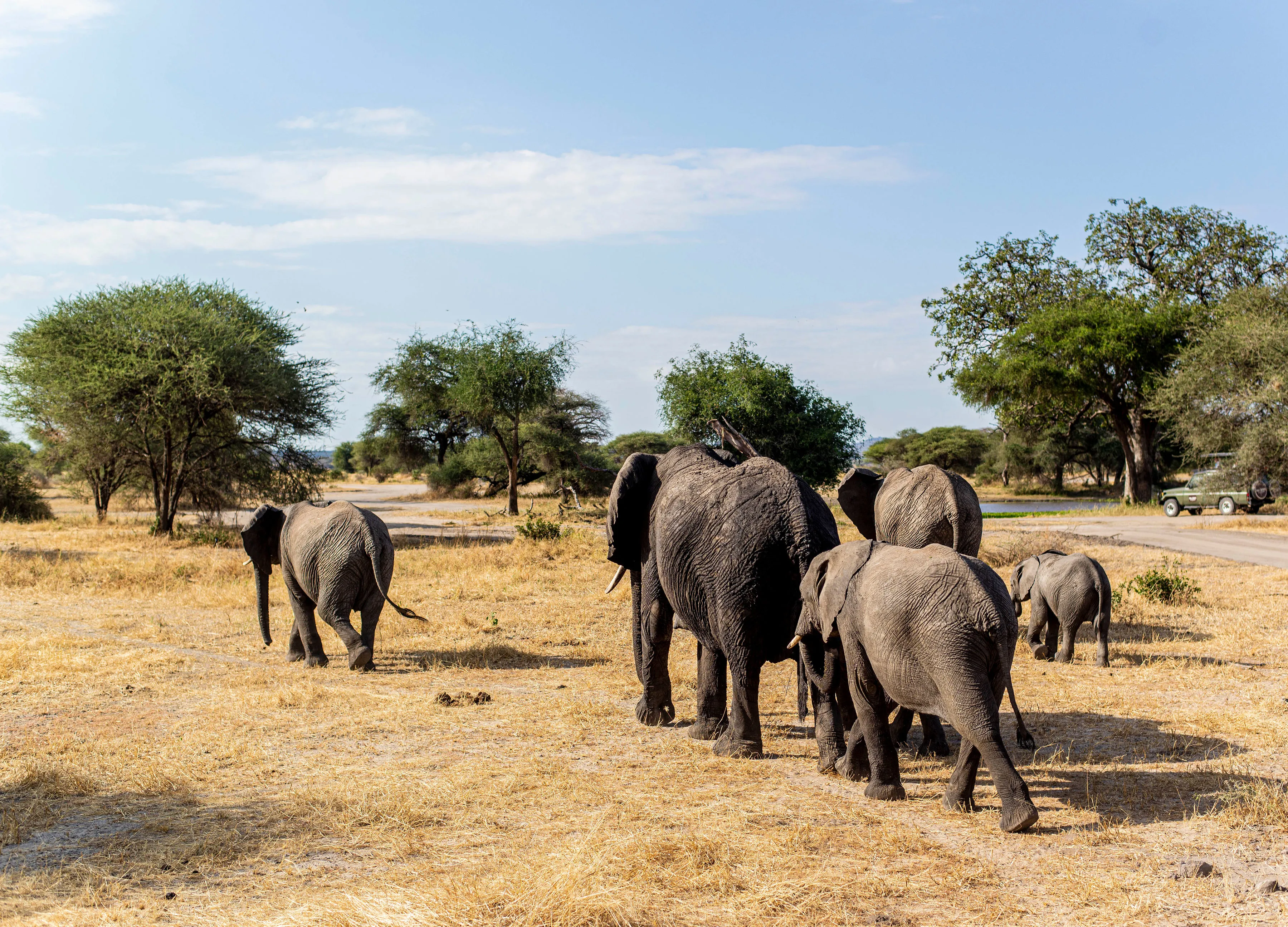 Tanzania Wonders