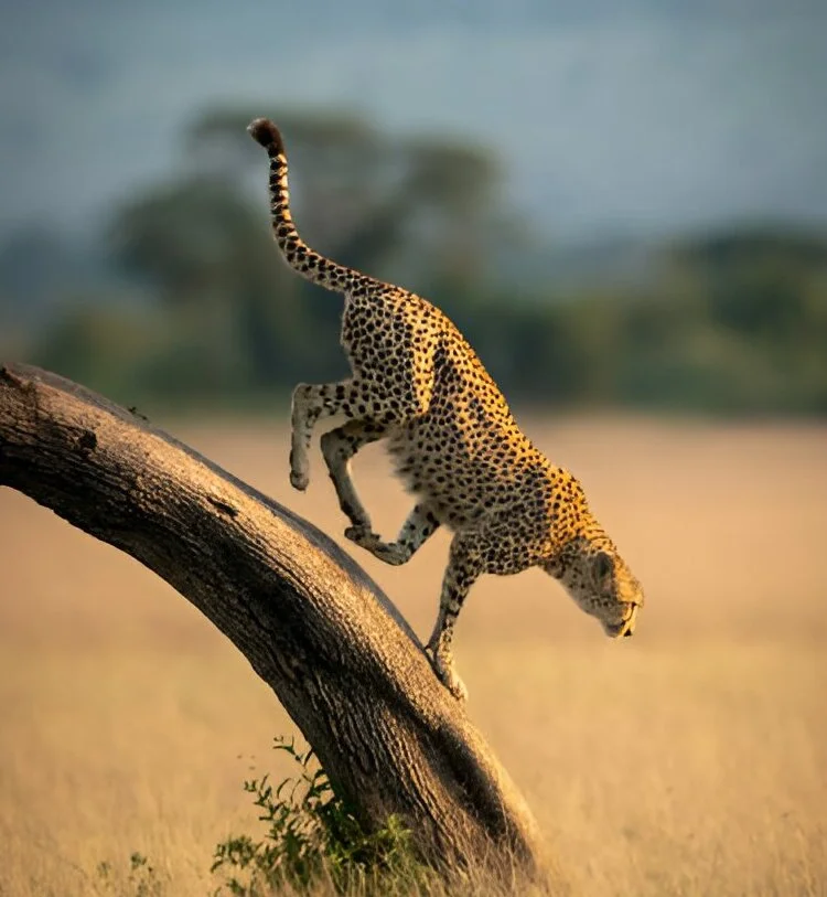 Serengeti National Park